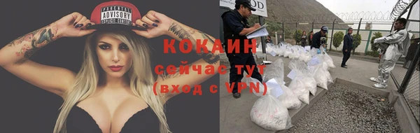 мдпв Пестово