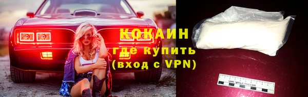 мдпв Пестово