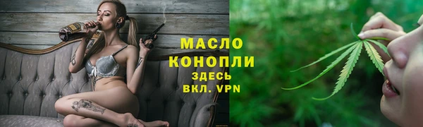 мдпв Пестово