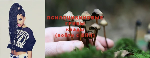 гидра Пересвет