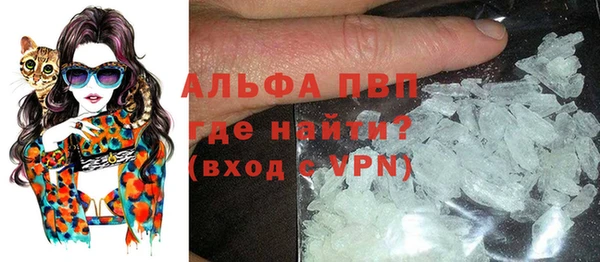 гидра Пересвет