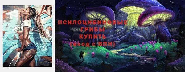 мдпв Пестово