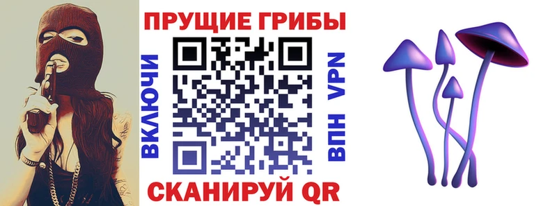 Псилоцибиновые грибы Cubensis  Кимовск 
