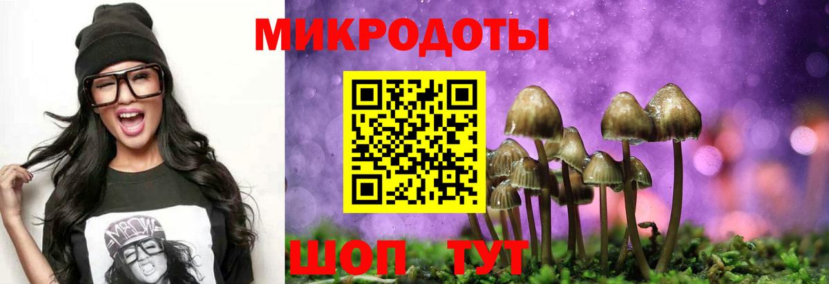 Галлюциногенные грибы мухоморы Кимовск