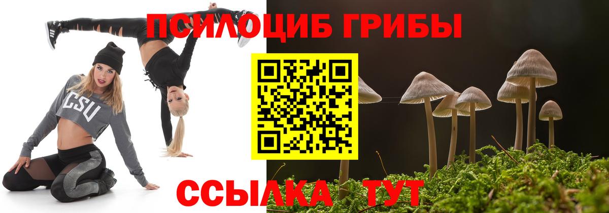 Псилоцибиновые грибы Cubensis  Вход с VPN  Кимовск  Псилоцибиновые грибы GOLDEN TEACHER 
